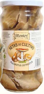 MONTEY SETAS DE CULTIVO T/145G.