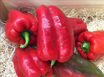 PIMIENTO ASAR ROJO €/KG